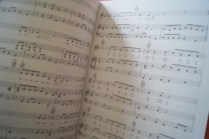 Les plus Grandes Chansons de Disney Songbook Notenbuch Piano Vocal Guitar PVG