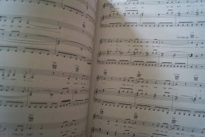 Bridget Jones´s Diary (ältere Ausgabe) Songbook Notenbuch Piano Vocal Guitar PVG