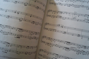 Harry Potter and The Chamber of Secrets Songbook Notenbuch Piano