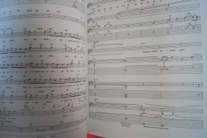 Guns n Roses - Use Your Illusion Vol. 1 & 2 (ohne Poster) Songbooks Notenbücher Vocal Guitar