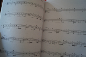 Rhythm Guitar Encyclopedia (ohne CD) Gitarrenbuch