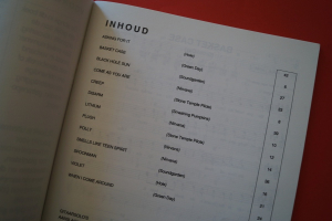 Grunge (Ed & Steve) Gitarrenbuch