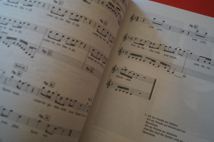 Grunge (Ed & Steve) Gitarrenbuch