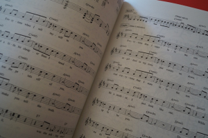 Grunge (Ed & Steve) Gitarrenbuch