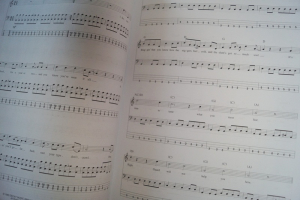 Punk Classics (Bass Play Along, mit CD) Bassbuch