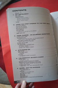 Electric Guitar Basics (mit CD) Gitarrenbuch