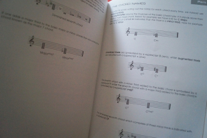 Electric Guitar Basics (mit CD) Gitarrenbuch