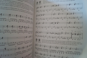 Rock n Roll Piano (mit CD, Keyboard Style Series) Keyboardbuch