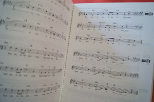 Rock Voice (mit CD) Lehrbuch Musiktheorie