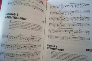 Rock Voice (mit CD) Lehrbuch Musiktheorie