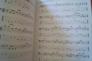 Mel Bay´s Reggae Groove for Electric Bass (mit CD) Bassbuch