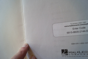 Burning Blues Guitar (mit Videocode) Gitarrenbuch