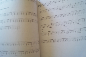 Burning Blues Guitar (mit Videocode) Gitarrenbuch