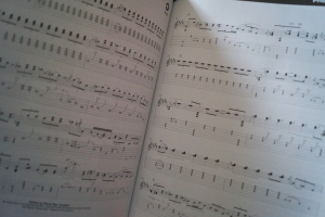 25 Great Guitar Solos (mit CD) Gitarrenbuch