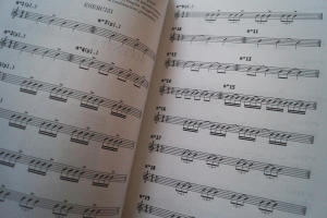 La Chitarra Ritmica (mit Griffbeilagen, ohne Kassetten) Gitarrenbuch