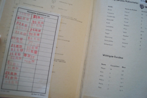 Elektrogitarren (Meinel, Hardcover) Gitarrenbuch