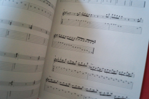 Challenge the Masters (mit CD) Gitarrenbuch