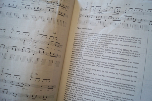 The Best of Rockabilly (Guitar Signature Licks, mit CD) Gitarrenbuch