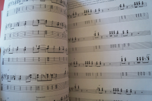 Real Blues Guitar (Revised Edition, mit DVD) Gitarrenbuch