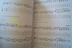 Simply Blues Guitar (mit CD) Gitarrenbuch