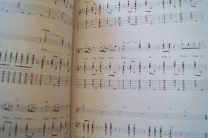 Rock n Roll Classics for Easy Guitar Gitarrenbuch