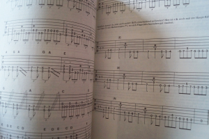 Hard & Heavy Lead Guitar (ohne Flexi Record) Gitarrenbuch