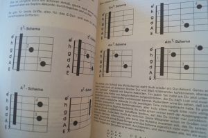 Die E-Gitarre (Kramarz) (mit CD) Gitarrenbuch