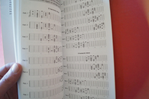 The Ultimate Scale-Book Gitarrenbuch