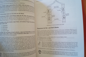 E-Bass für Dummies (mit CD) Bassbuch