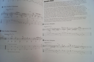 101 Must-know Blues Licks (mit CD) Gitarrenbuch