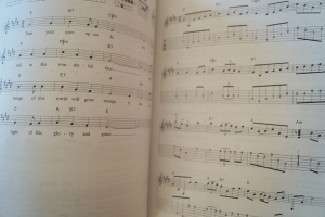 Flatpicking Gospel Tunes (mit CD) Gitarrenbuch