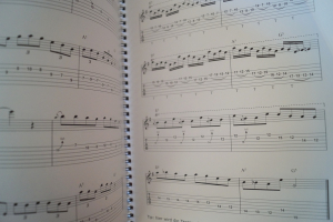 33 Guitarsolos (Silver Edition, mit CD) Gitarrenbuch