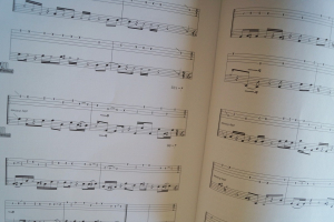 Hip-Hop Grooves for Bass (mit CD) Bassbuch