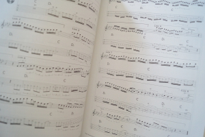 Guitar Masterclass Compact (mit 3 CDs) Gitarrenbuch