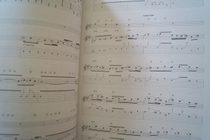 Rock Anthology (Guitar Play along, mit CD) Gitarrenbuch