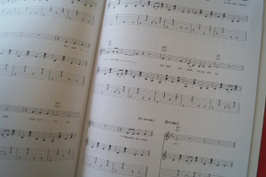 Folk Rock (Guitar Play along, mit CD) Gitarrenbuch