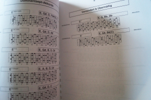 Arpeggien & Co. (Musitive Lernhilfe) Gitarrenbuch