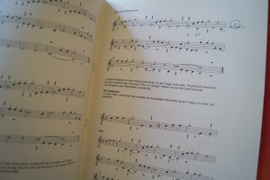 Arrangieren für den Gitarristen (mit CD) Gitarrenbuch