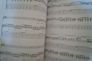 ACDC - Backtracks Songbook Notenbuch Vocal Guitar