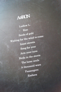 AaRON - Birds in The Storm Songbook Notenbuch Piano Vocal Guitar PVG
