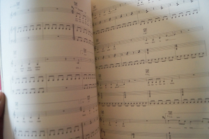 AaRON - Birds in The Storm Songbook Notenbuch Piano Vocal Guitar PVG