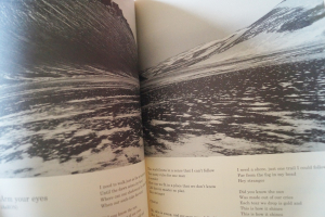 AaRON - Birds in The Storm Songbook Notenbuch Piano Vocal Guitar PVG