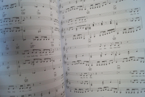 Bap - Amerika Songbook Notenbuch Vocal Guitar