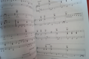 Alicia Keys - The Diary of Songbook Notenbuch Piano Vocal Guitar PVG