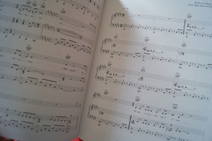 Enya - A Day without Rain Songbook Notenbuch Piano Vocal Guitar PVG