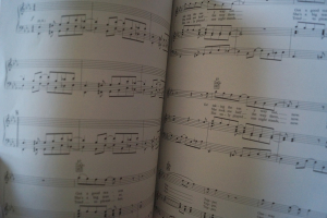 Beatles - 1962-66 & 1967-70 Songbooks Notenbücher Piano Vocal Guitar PVG