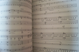 Billy Idol - Whiplash Smile (mit Poster) Songbook Notenbuch Vocal Guitar