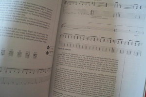 Blink 182 - Signature Licks (mit CD) Songbook Notenbuch Vocal Guitar