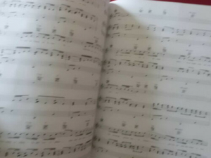 Casting Crowns - Lifesong Songbook Notenbuch Piano Vocal Guitar PVG