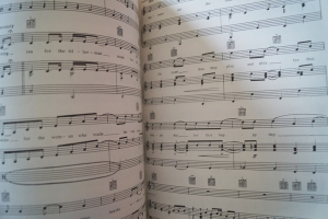 Cat Stevens - Songs of Songbook Notenbuch Piano Vocal Guitar PVG